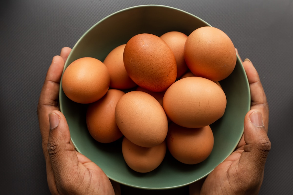 Hasil Panen Telur