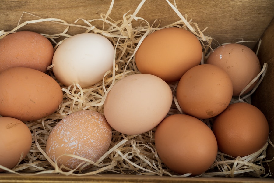 Telur Ayam Petelur Segar